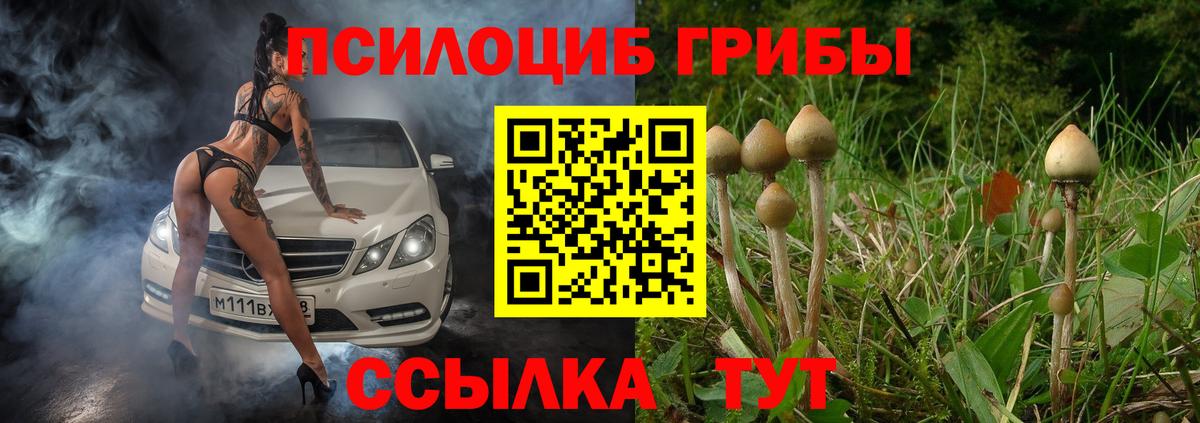 Псилоцибиновые грибы Cubensis Клин